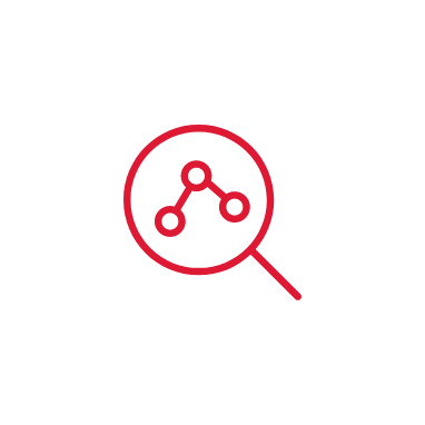 Data Analyst