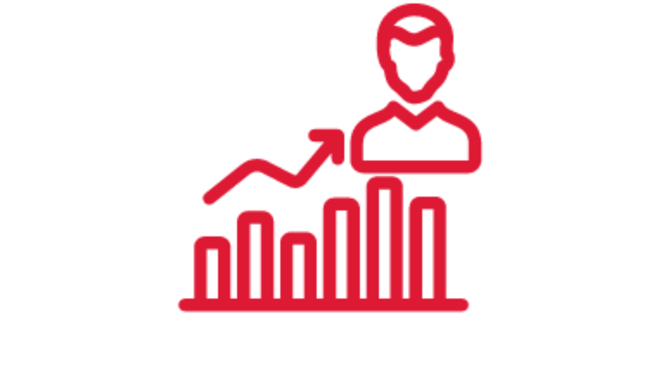 Business Analyst