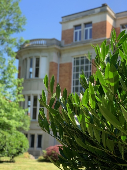 Le jardin